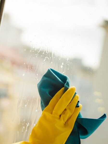 Streak Free Interior & Exterior Window Cleaning Near Me at Neat Home Cleaning Company