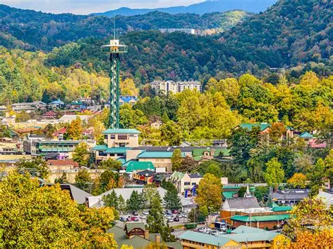 House cleaning service in Gatlinburg, TN